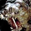 rancor